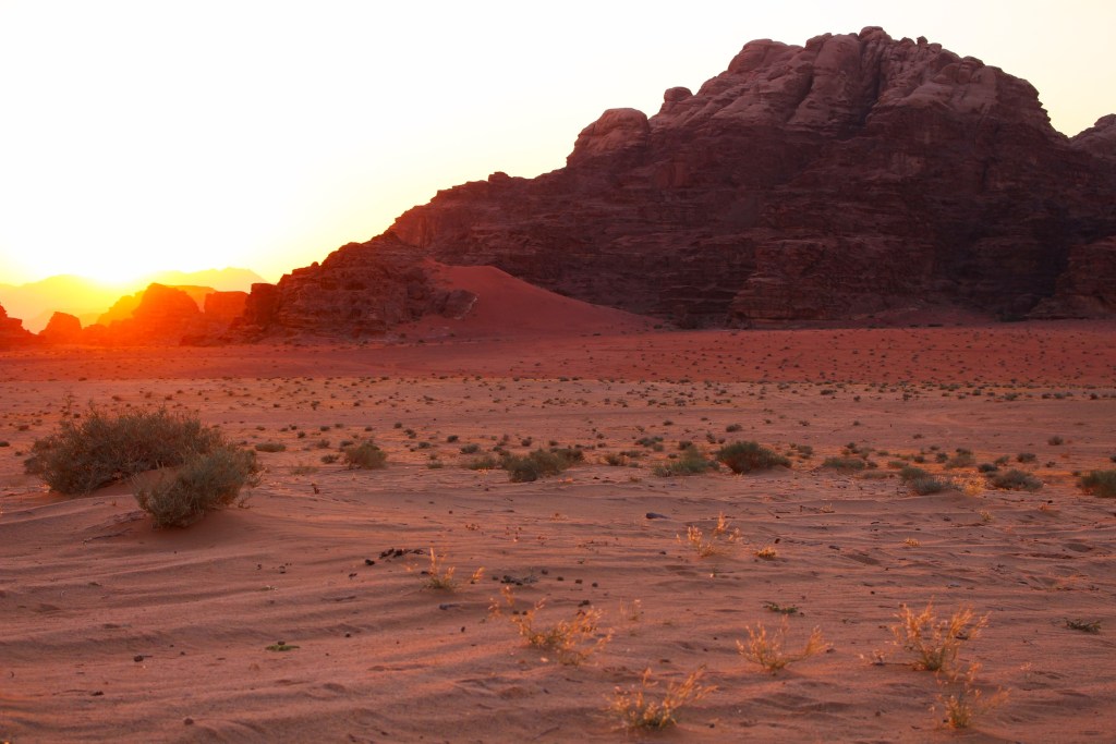 Momo Adventure Tours - Wadi Rum Jordan Sunset